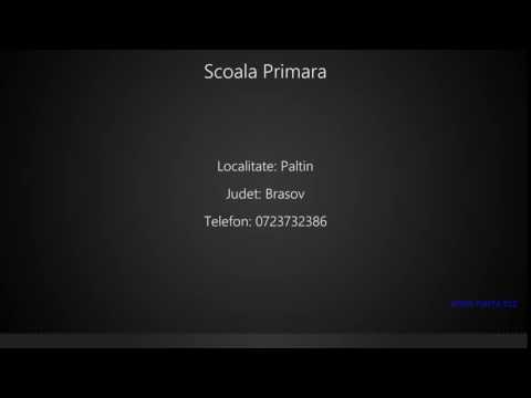 Scoala Primara Paltin