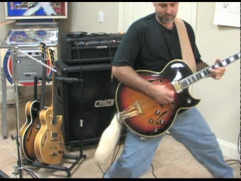 Ted Nugent Snakeskin Cowboys Cover