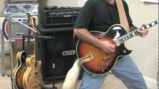 Ted Nugent Snakeskin Cowboys Cover