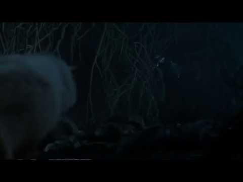 Summer dies protecting Bran - Game of Thrones S06E05