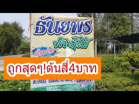 แผลเล็ก ๆ บนอวัยวะเพศชายและหัว ครีมที่เพิ่มสมาชิก