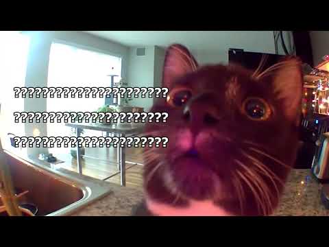 KOZAKPOLV x GUMMY - CZAISZ? (prod. kozakpolv)