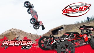 ASUGA XLR 6S - BUGGY 4WD - RTR - modrá
