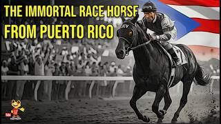 The Puerto Rican Race Horse That Refused to Lose: Camarero’s Incredible Story