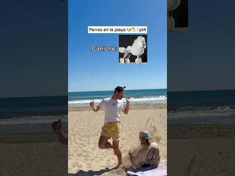 Cual serías tu? #humorperros #humorviral #humormascotas #perrosderisa #memesdeperros