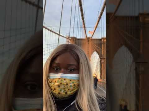 Impromptu Tour of The Brooklyn Bridge