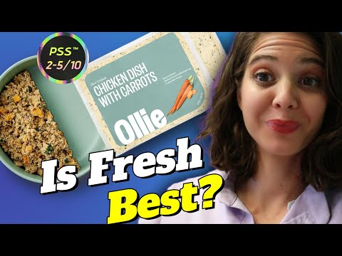 Is Fresh Best? Ollie Dog Food Review