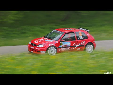 Rally Bellunese 2021 Highlights, Pure Sound and Mistakes | PS Melere