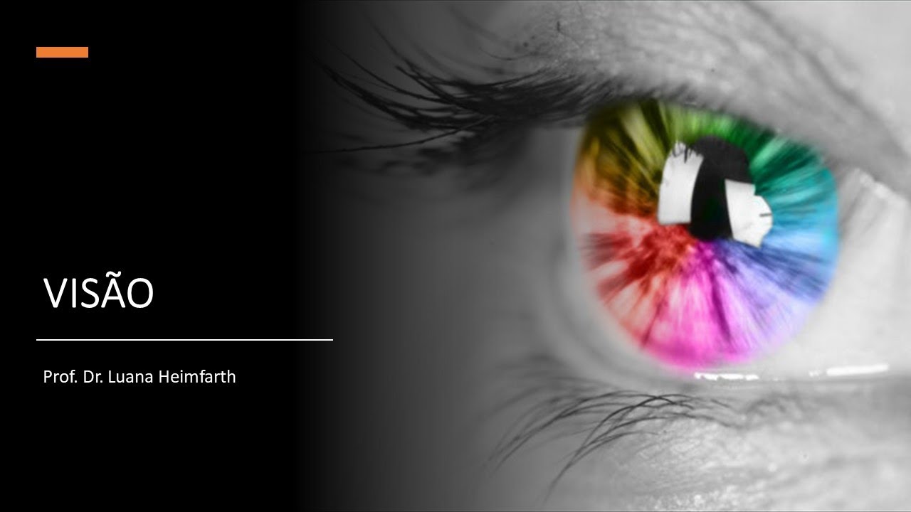 Módulo 1  Aula 11 Visão 2