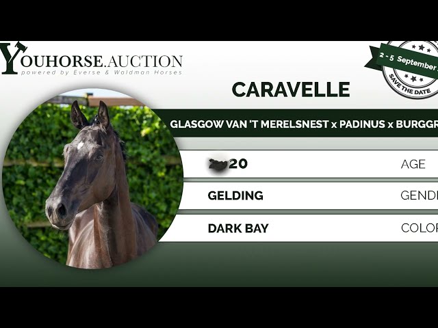 Caravelle
