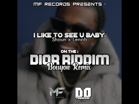 Shaun X Lenab  - I Like To See U Baby  - Official Audio Bouyon