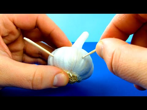 4 Tricks, die dich zum Super-Gärtner machen