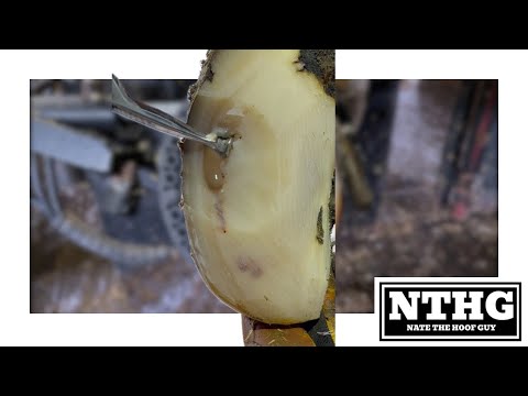 You Can SEE IT MOVING