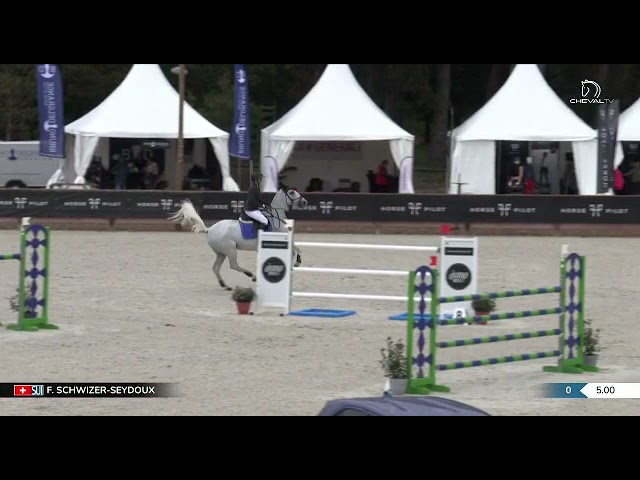 Jumping movie of the mother CSI 1.55m mare Prime Moon with rider F Schwizer.