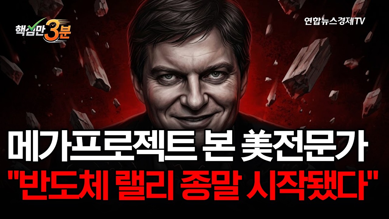 메가프로젝트 본 美전문가 "반도체 랠리 종말 시작됐다"⎜핵심만 3분