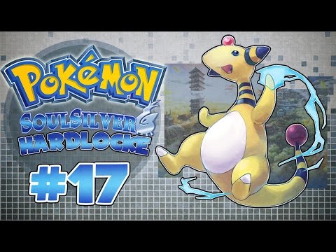 Pokémon Silver Hardlocke Ep. 17 - THE NONSENSE OF THE NEXT GYM