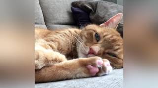 C418 - preliminary success depression