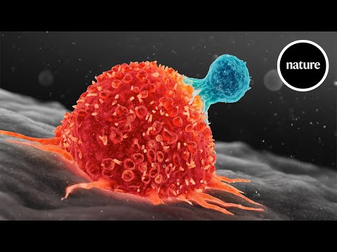 How to supercharge T cells against cancer