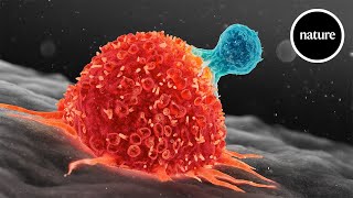 How to supercharge T cells against cancer