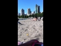 Seagull Does Not Eat Rice Cake