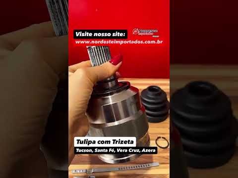 Tulipa 28x35 com Trizeta LE  Vera Cruz Azera Santa Fe Tucson V6 Automático | Nordeste Importados