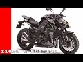 2017 Kawasaki Z1000 R Edition