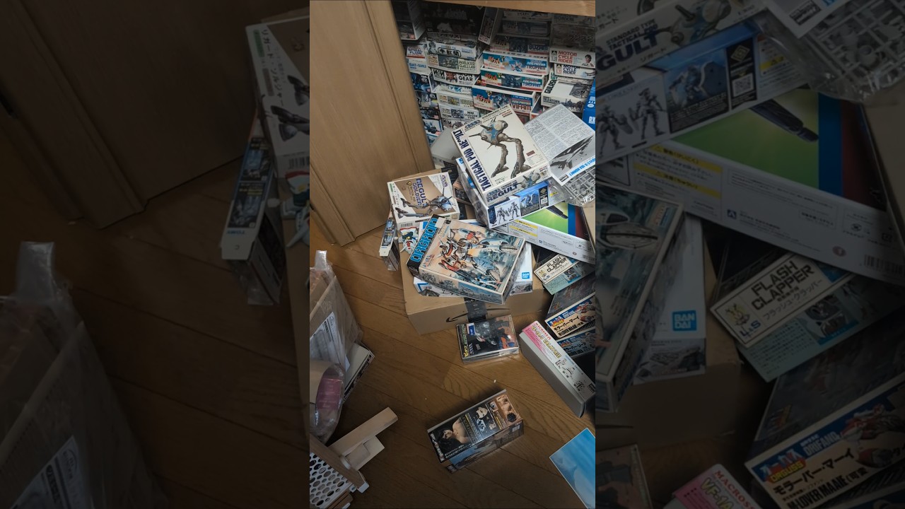 チャンネル視聴者様へ取り急ぎ安否報告　　 青森県沖地震　#猫#地震#青森県