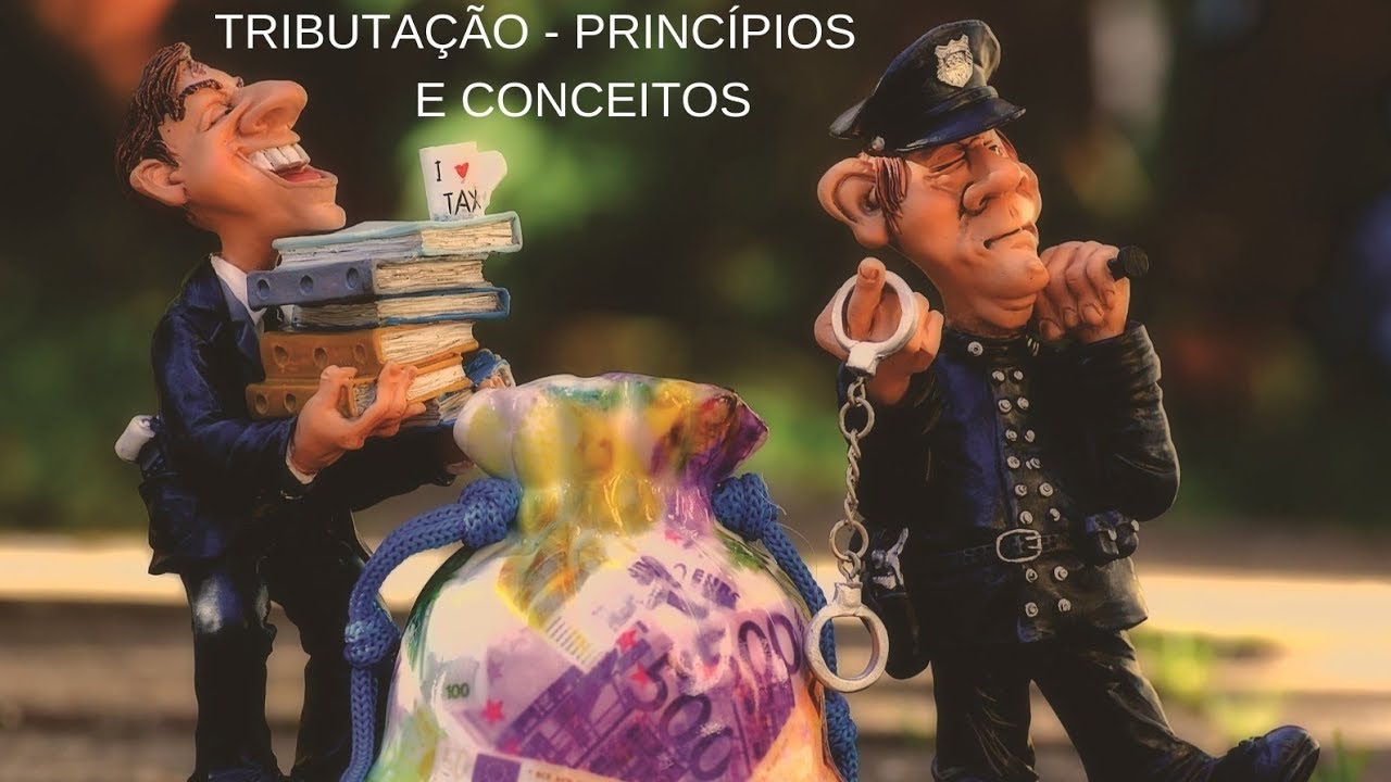 Tributação: Princípios de Tributação; Tipos de Impostos e Estrutura Tributária