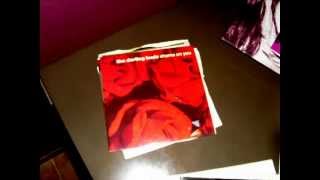 The Darling Buds-Shame On You