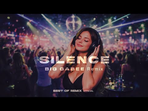 Delerium - Silence 2026. (Big Gabee Remix)