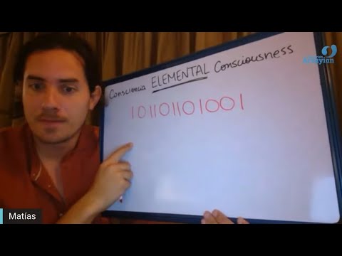 Day 354 ELEMENTS - Matias De Stefano - English Edit