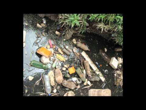 O SER HUMANO E O MEIO AMBIENTE