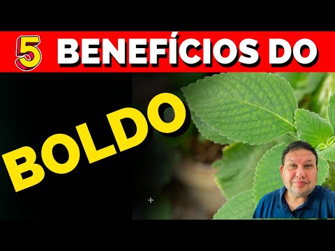 5 BENEFITS OF BOLDO TEA