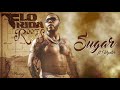 Flo Rida - Sugar (feat. Wynter) [Official Audio]