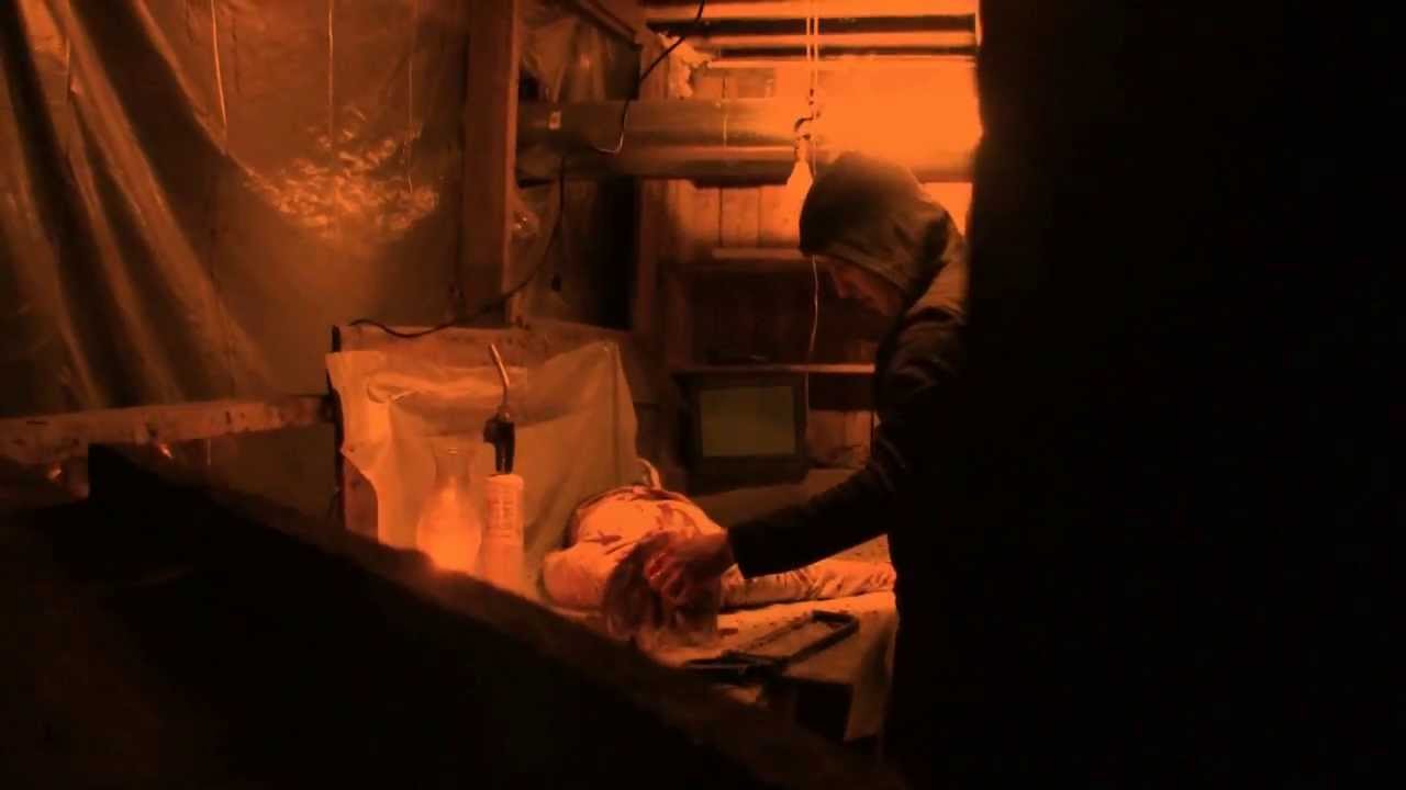 The Last Diary of Nikita Rose