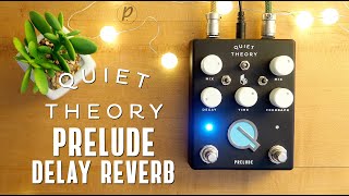 Video thumbnail for Quiet Theory Prelude Delay Reverb by Pedal of the Day