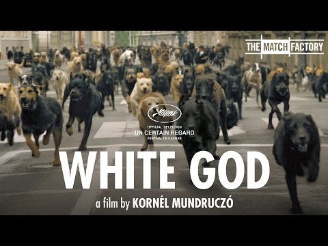 White God (2014) Trailer