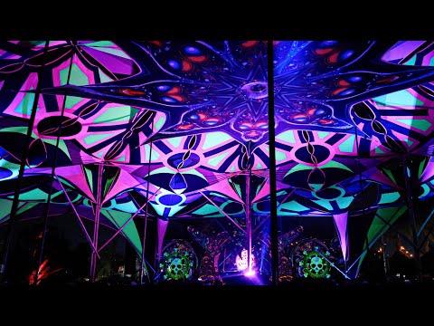 Aardvarkk @Poison Festival 2025 Ixmiquilpan, Hidalgo, Mex. By Play Label