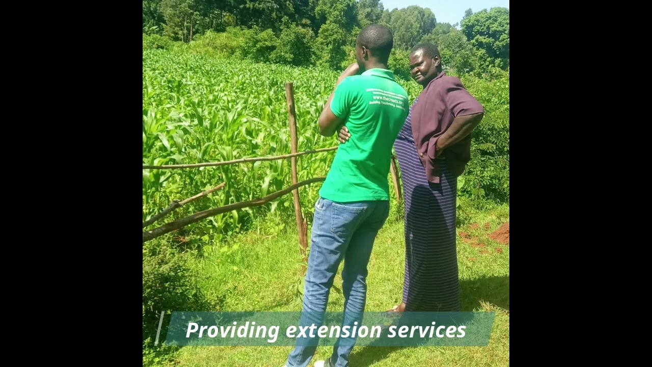 CREATS Financial Access