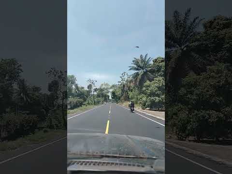 Ruta hacia el puerto de Ocós, san Marcos #costa  #suscriptores #turismo #videos