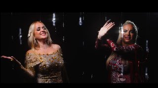 Mi León Lyrics English Translation