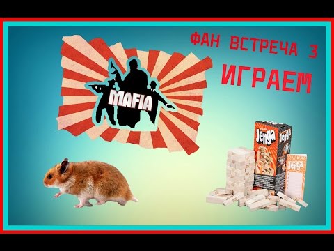 ФАН-ВСТРЕЧА №1 (часть 3) Играем в 'башню' и 'мафию'.