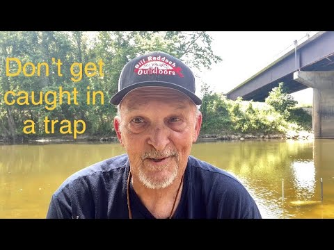 The best bait for a minnow trap!