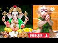 Komma Uyyala Song Version Bujji Ganappaiah Lords Ganesha Devotional Monkey