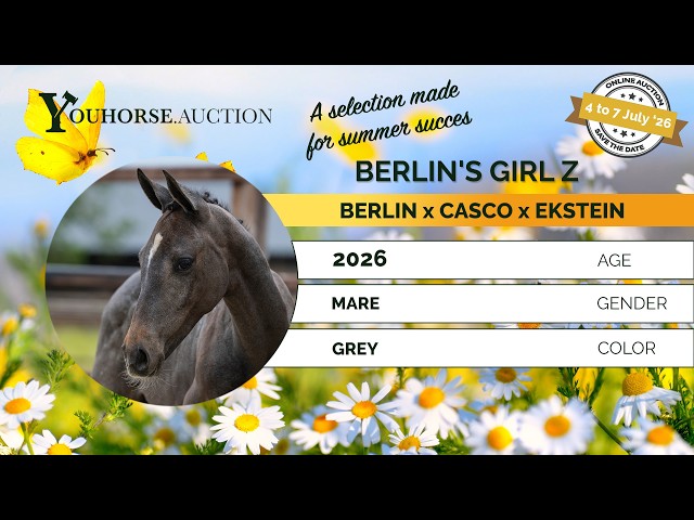 Berlin's Girl Z