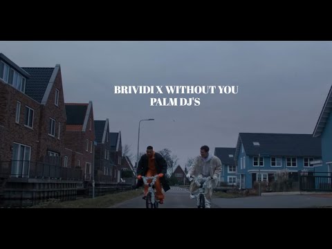 Brividi X Without You (Mahmood & BLANCO X Avicii & Sandro Cavazza) (PALM DJ'S Mashup)