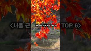 〈서울 근교 단풍 명소 6선〉 가을이 가장 아름답게 물드는 길