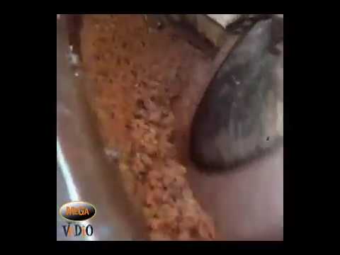 download lagu mp3 mp4 Olive Era Hair Wash, download lagu Olive Era Hair Wash gratis, unduh video klip Olive Era Hair Wash