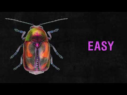 Video thumbnail for Easy