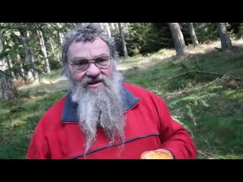 Tilberedningstips - Svampeekspert Sten Larris/ Djursland 2014